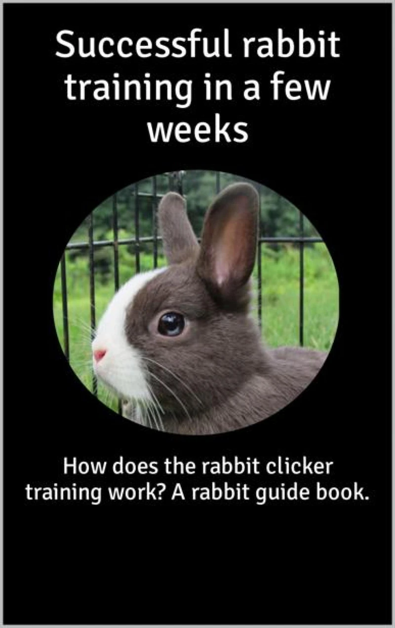 Portada: Successful rabbit training in a few weeks