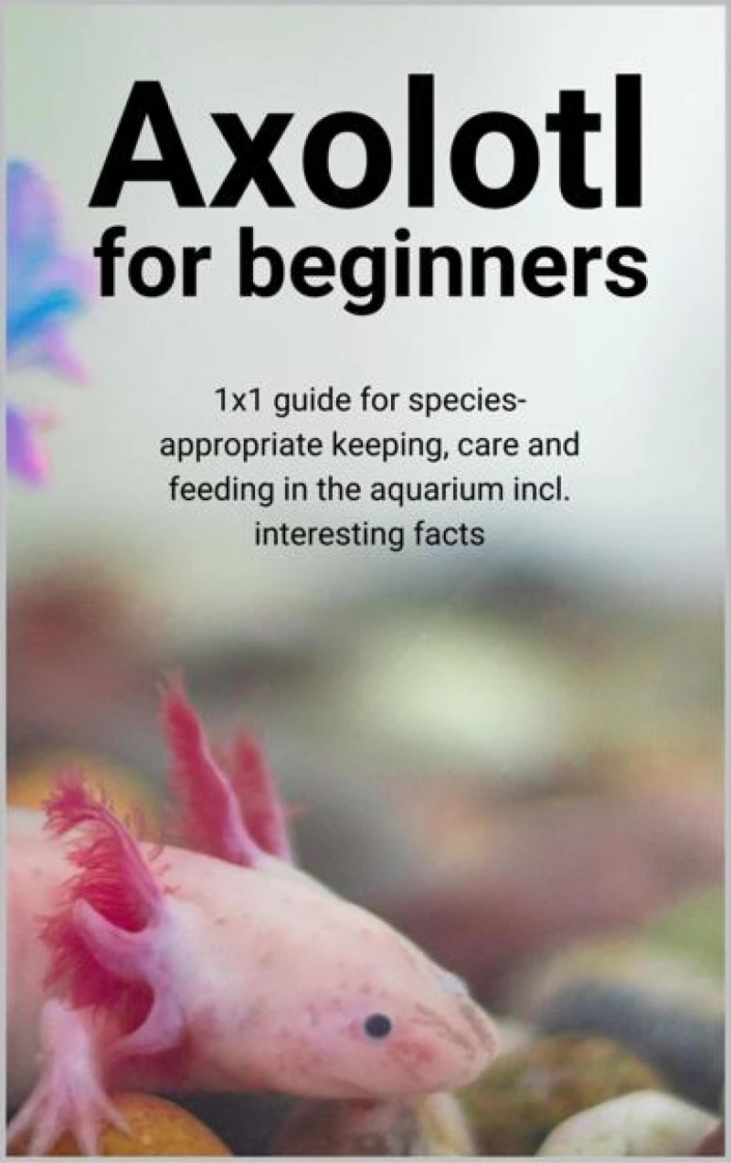 Portada: Axolotl for beginners