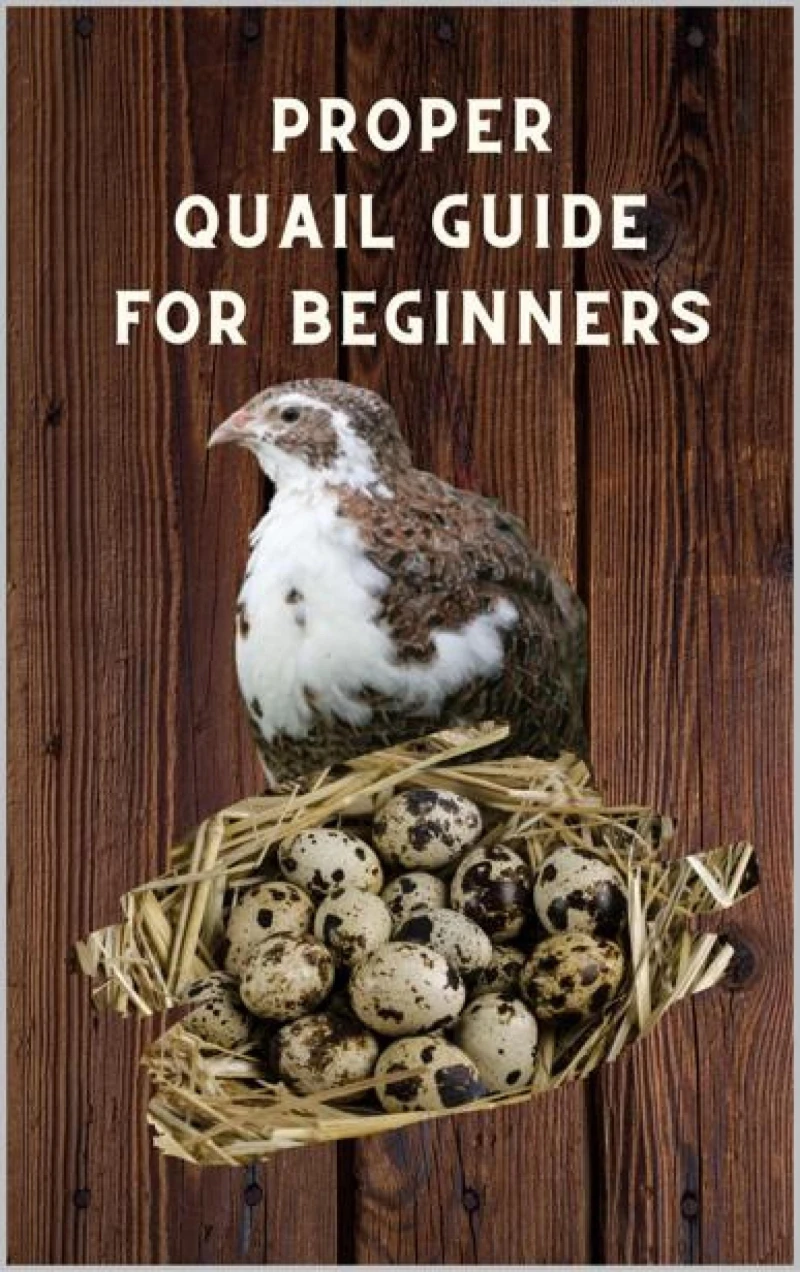 Portada: Proper Quail Guide for Beginners