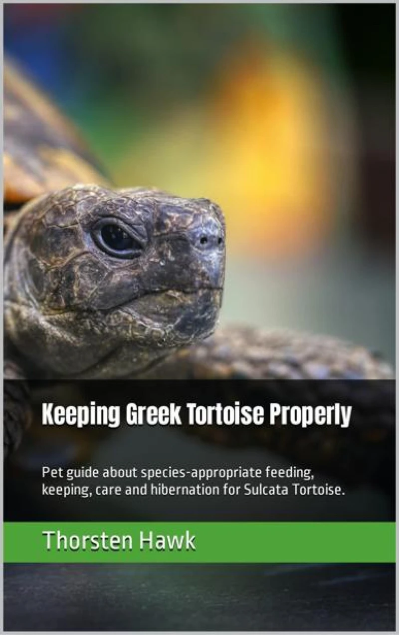 Portada: Keeping Greek Tortoise Properly