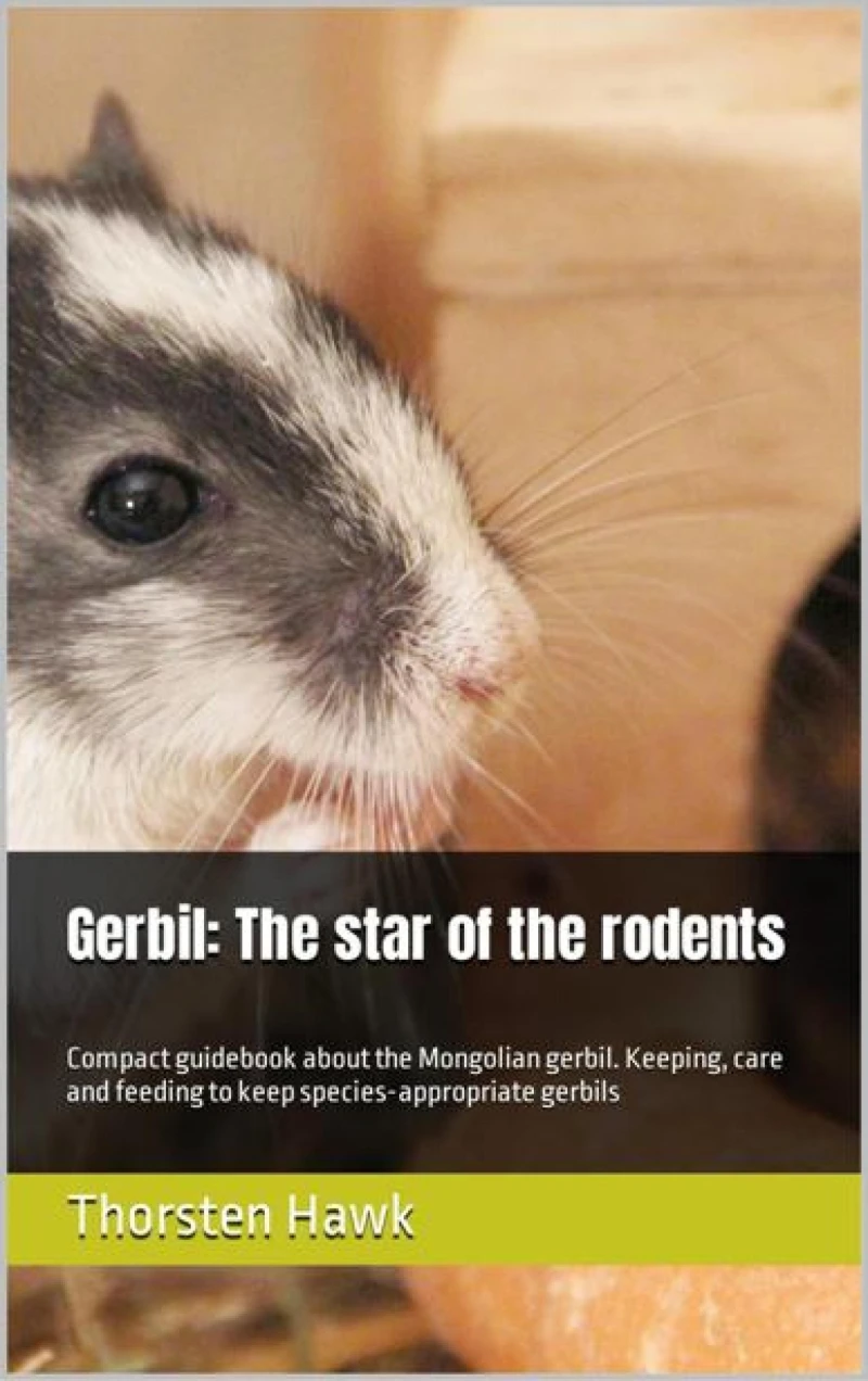 Portada: Gerbil: The star of the rodents