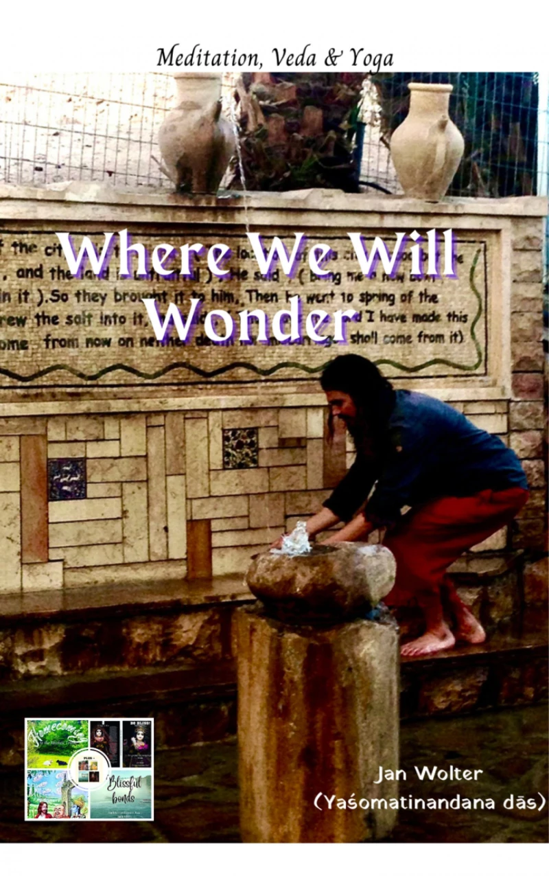 Portada: Where We Will Wonder