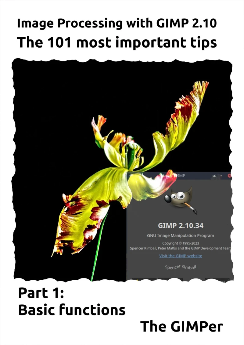 Portada: Image Processing with GIMP 2.10