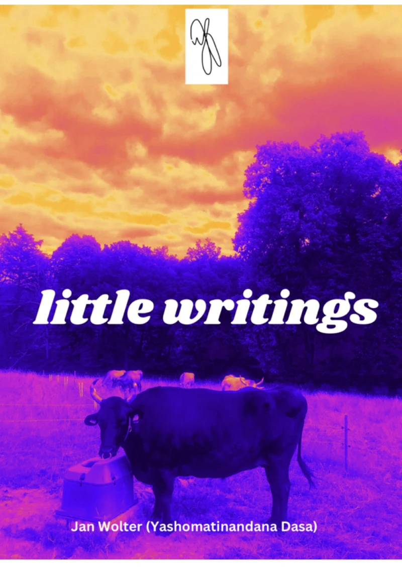 Portada: little writings