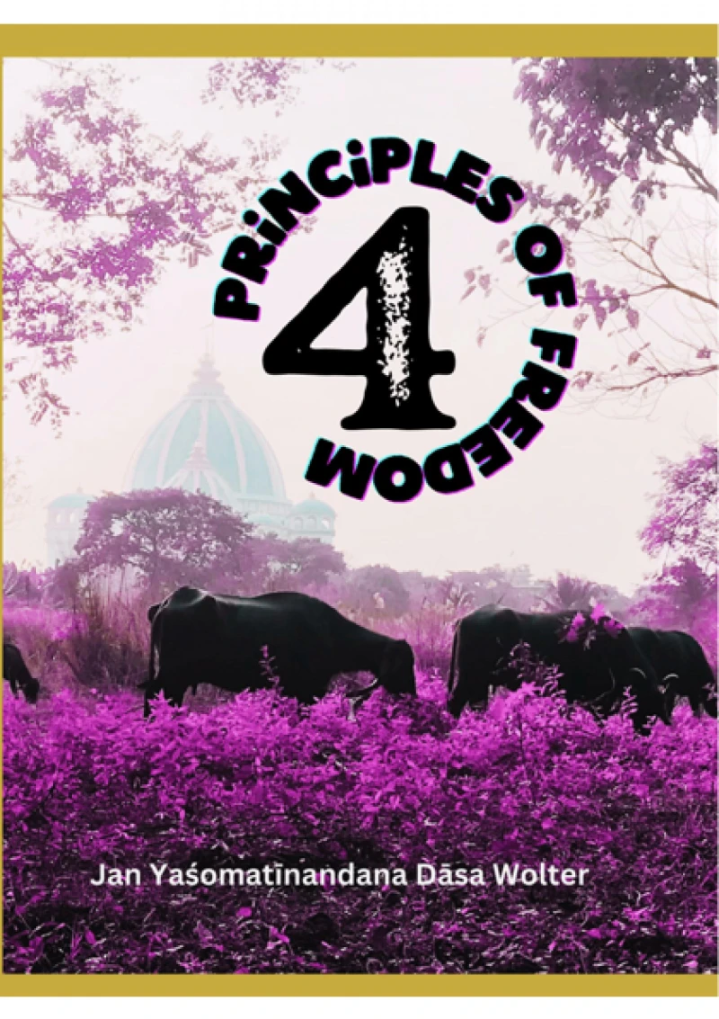 Portada: 4 Principles of Freedom