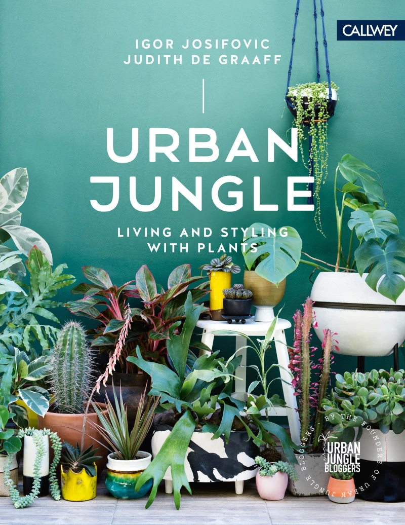 Portada: Urban Jungle
