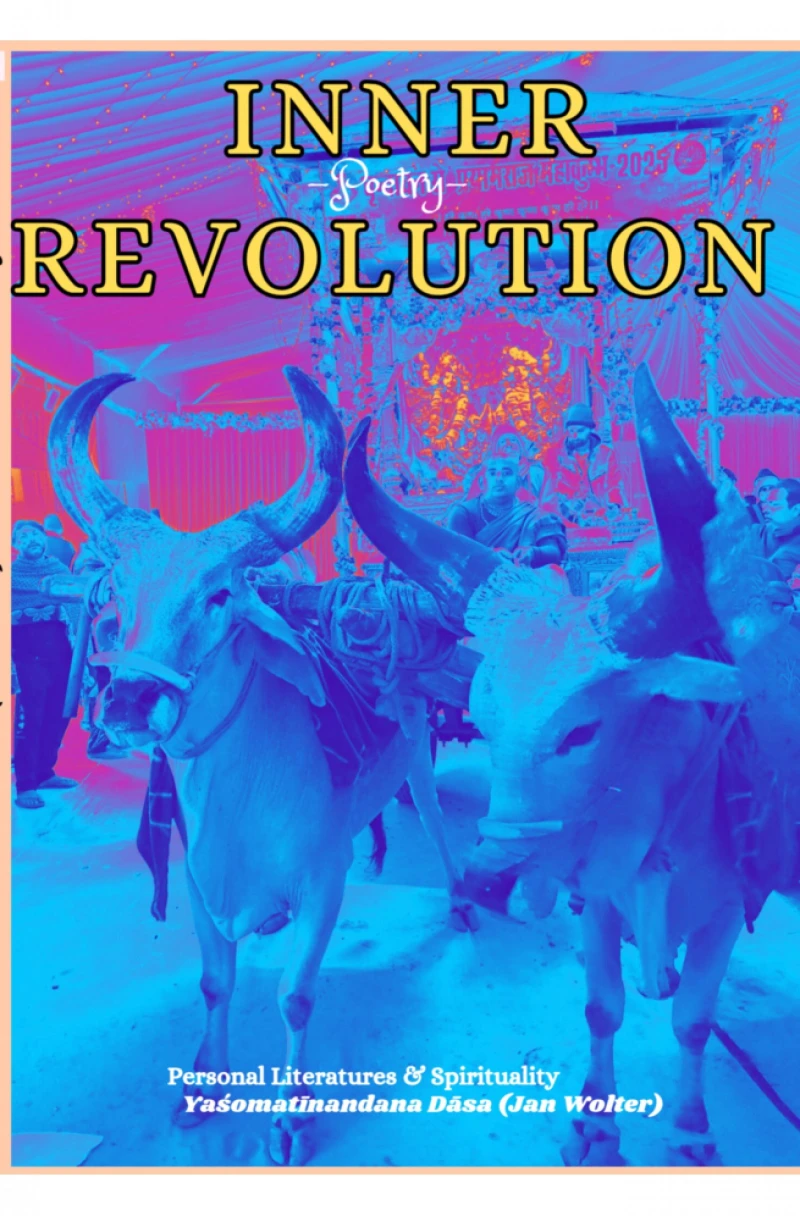 Portada: Inner Revolution