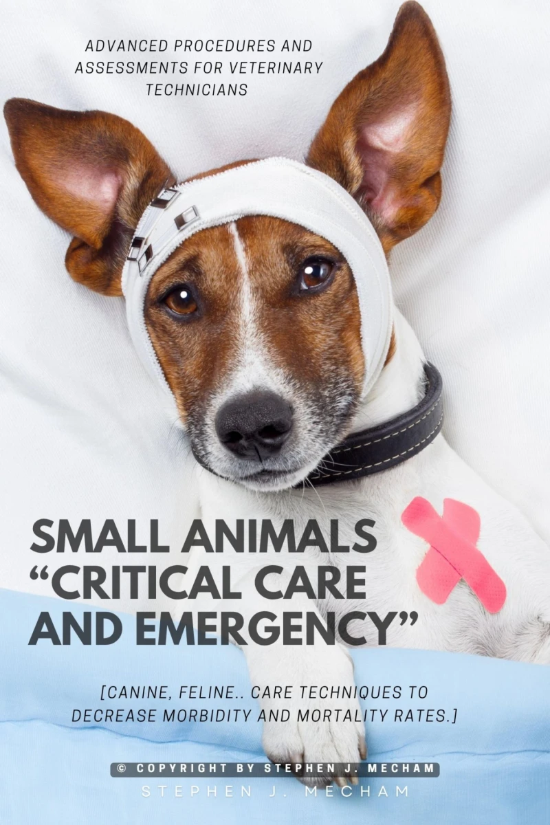 Portada: Small Animals "Critical Care and Emergency"::