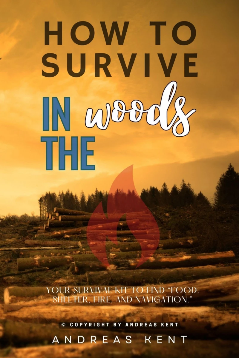 Portada: How to Survive in the Woods:
