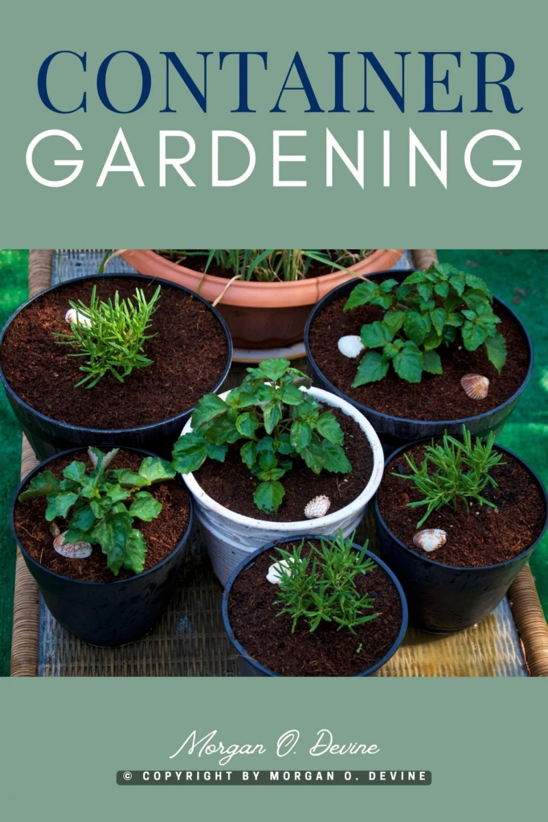 Portada: Container Gardening::
