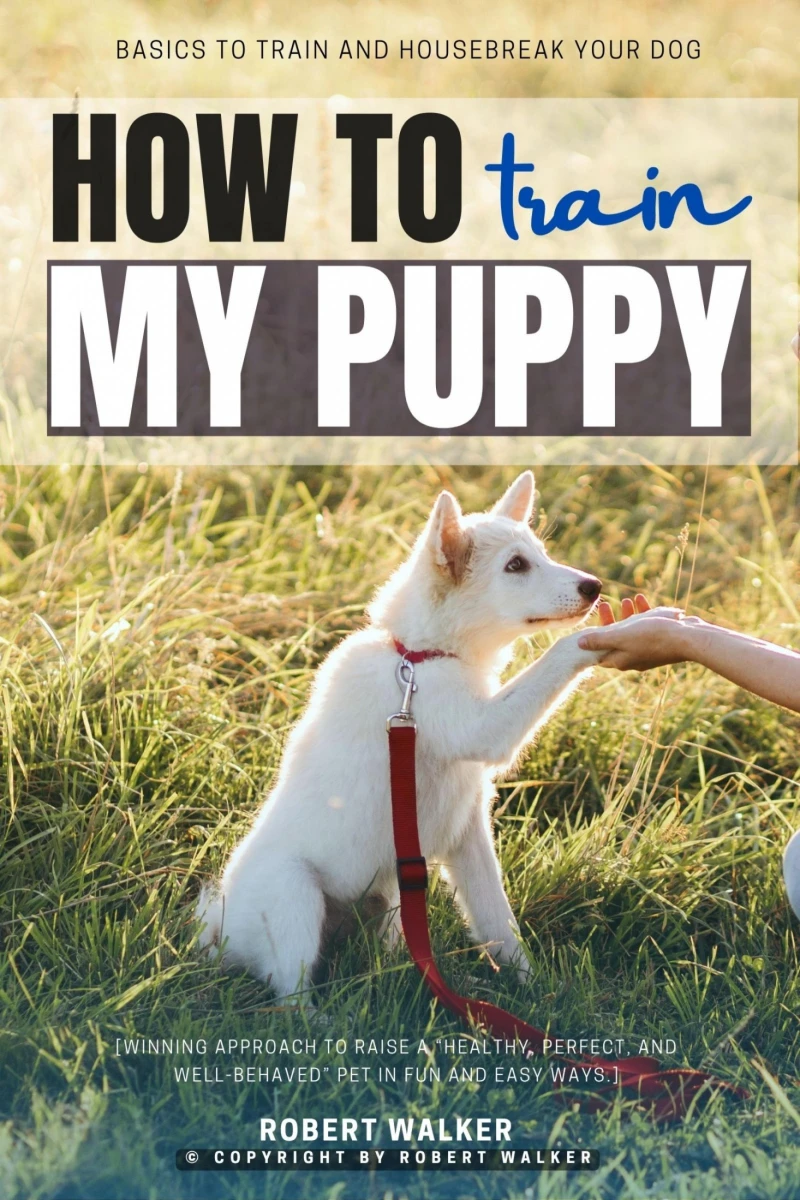 Portada: How to Train My Puppy: