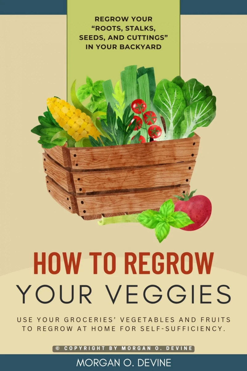Portada: How to Regrow Your Veggies::