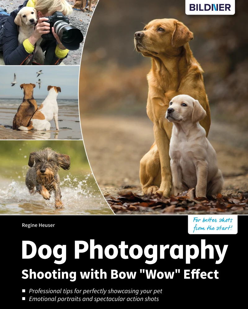 Portada: Dog Photography