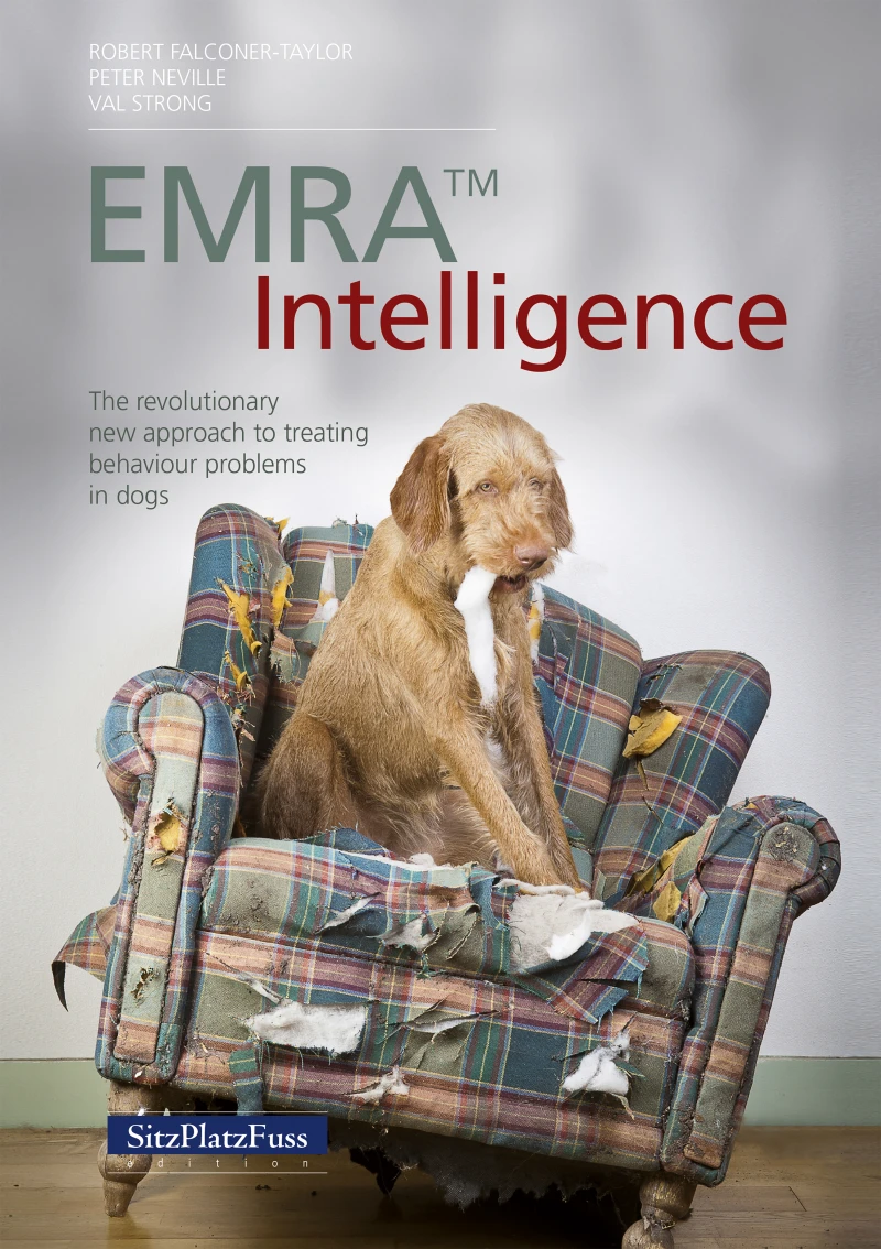 Portada: EMRA™ Intelligence