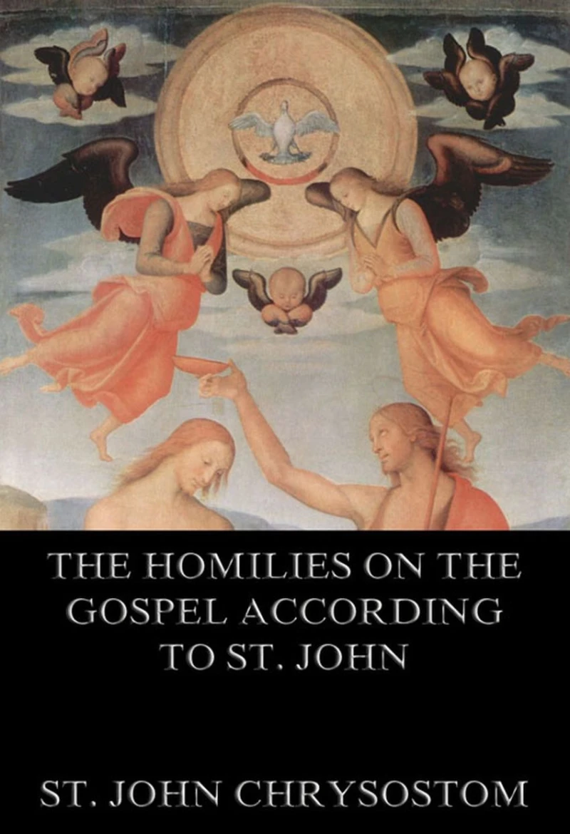 Portada: The Homilies On The Gospel According To St. John