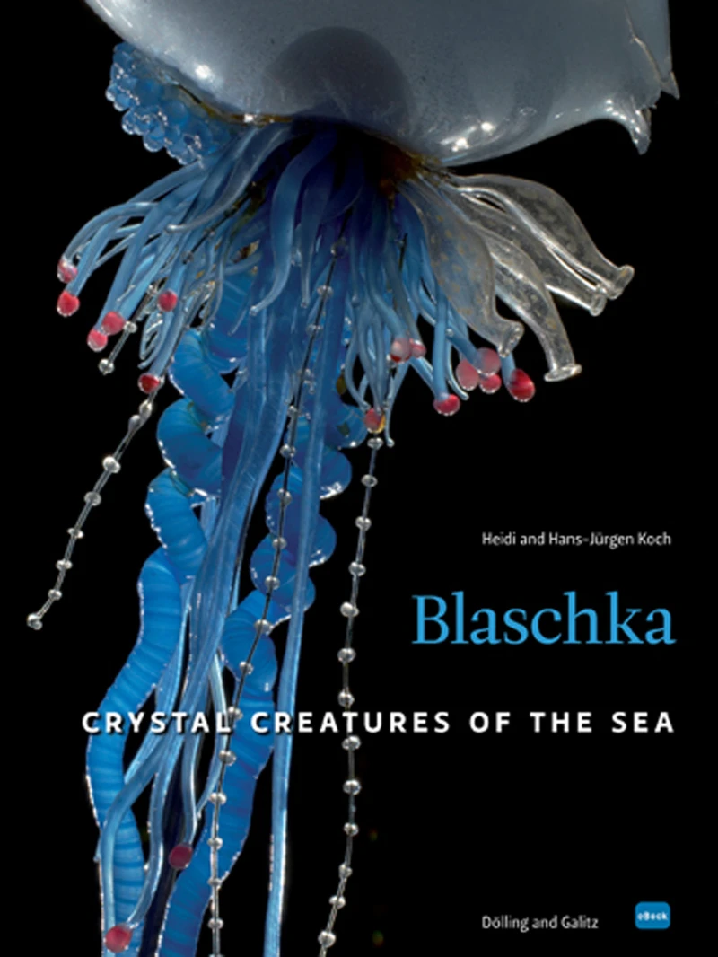 Portada: Blaschka
