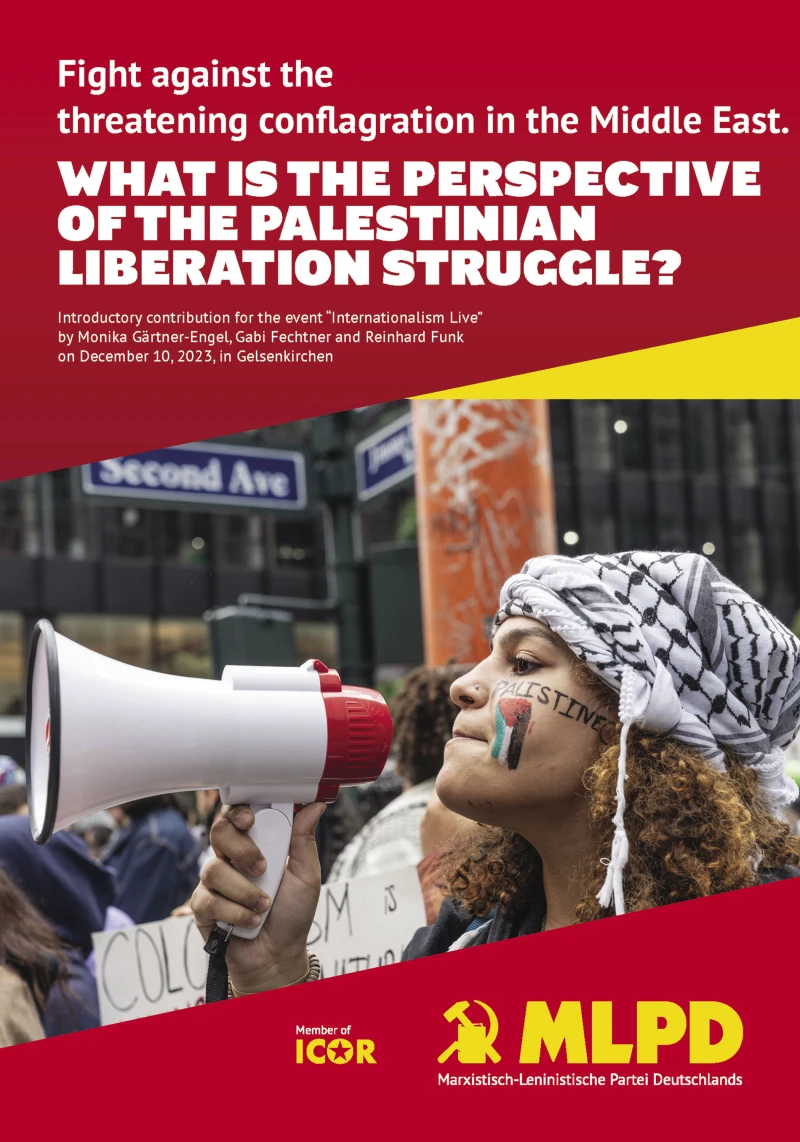 Portada: What is the perspective of the palestinian liberation struggle?