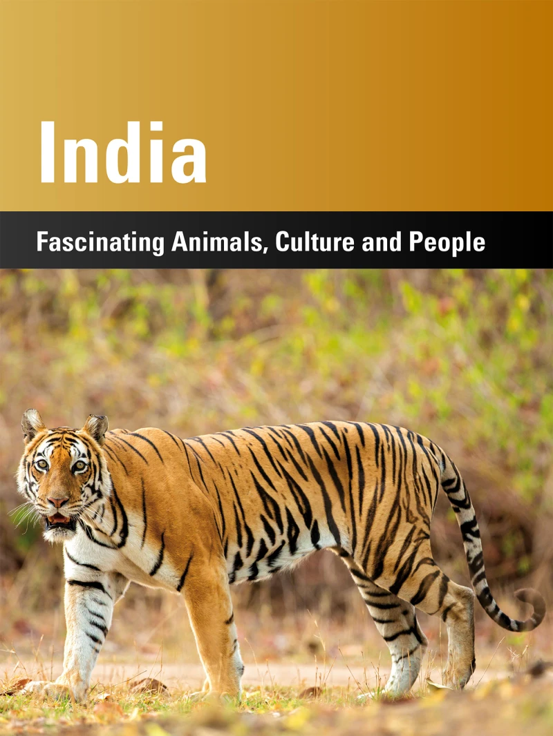 Portada: India