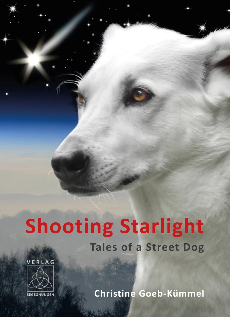 Portada: Shooting Starlight
