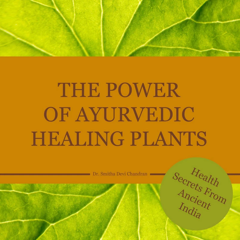 Portada: The power of Ayurvedic healing plants