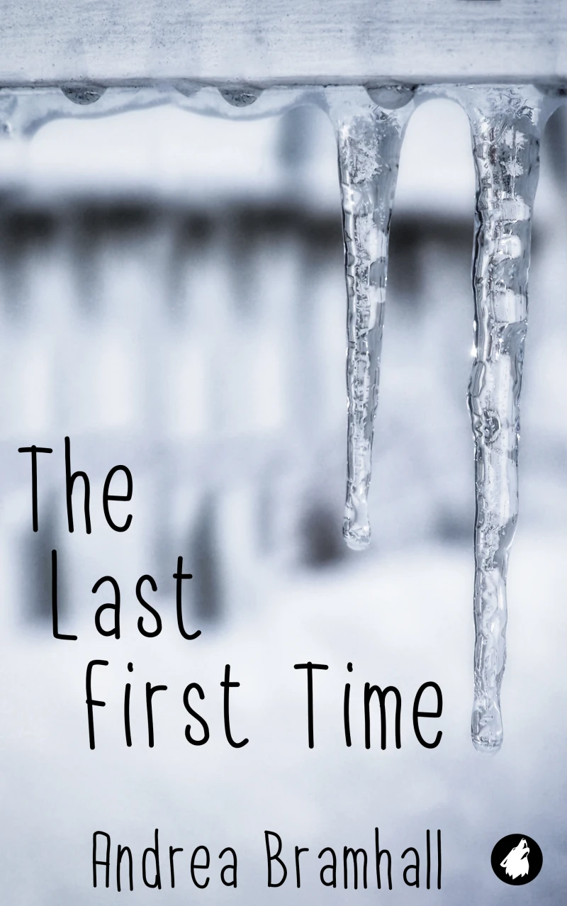 Portada: The Last First Time