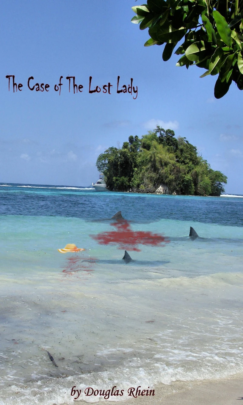 Portada: The case of the lost lady