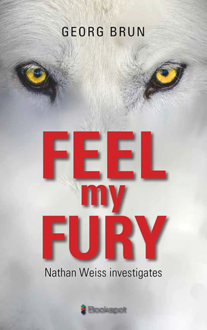Portada: Feel My Fury