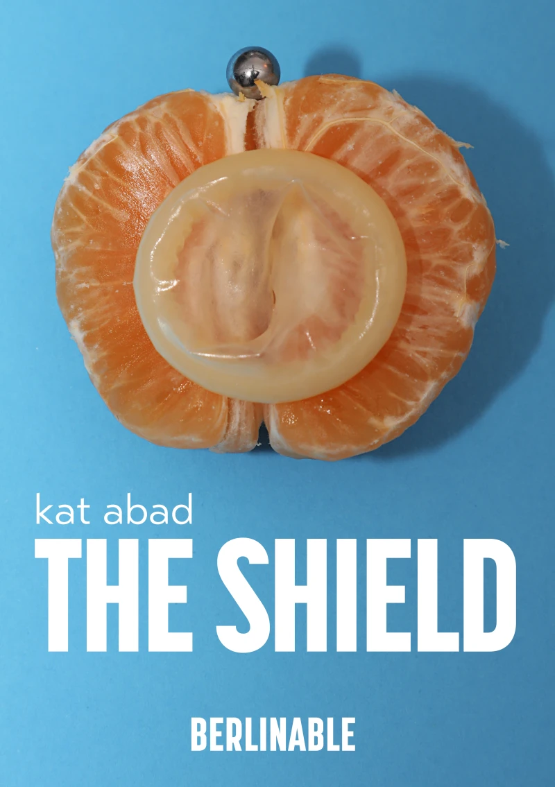 Portada: The Shield
