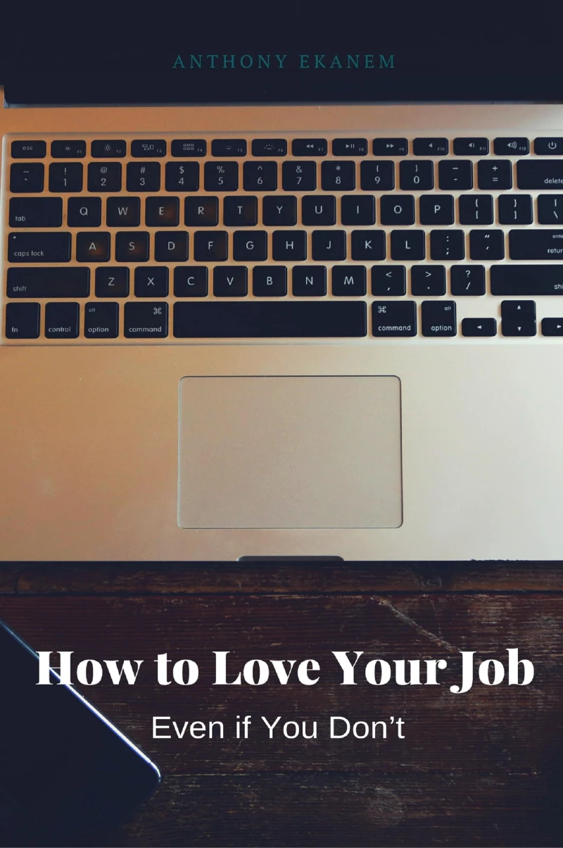 Portada: How to Love Your Job