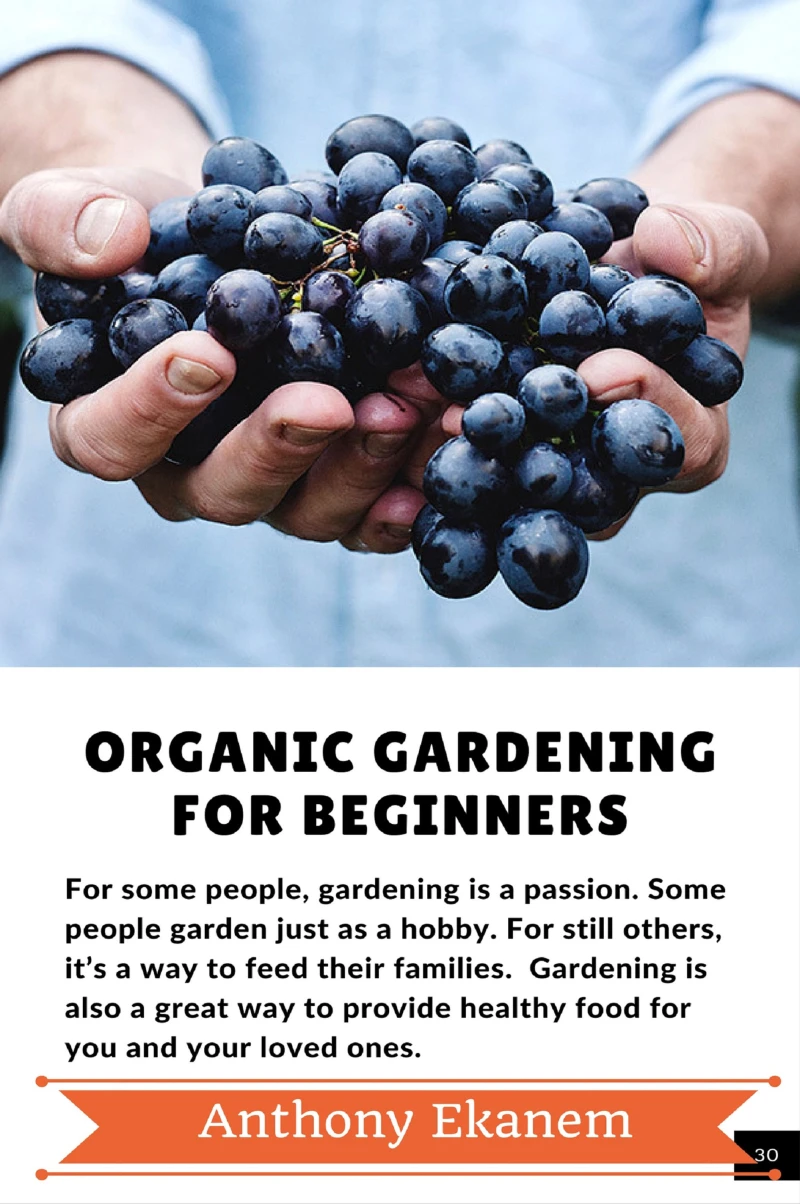 Portada: Organic Gardening For Beginners