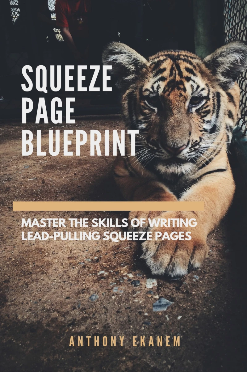 Portada: Squeeze Page Blueprint
