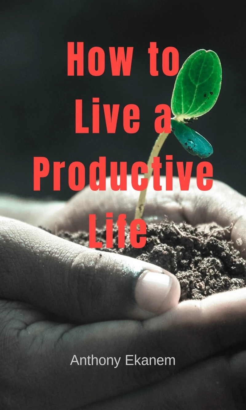 Portada: The Organized Life