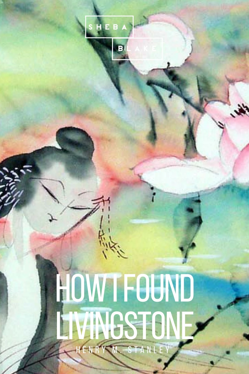 Portada: How I Found Livingstone