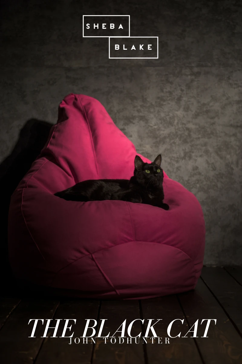 Portada: The Black Cat