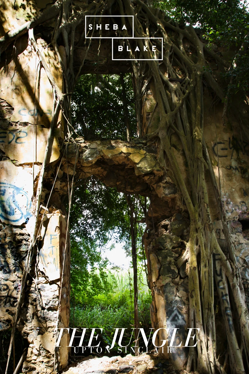 Portada: The Jungle