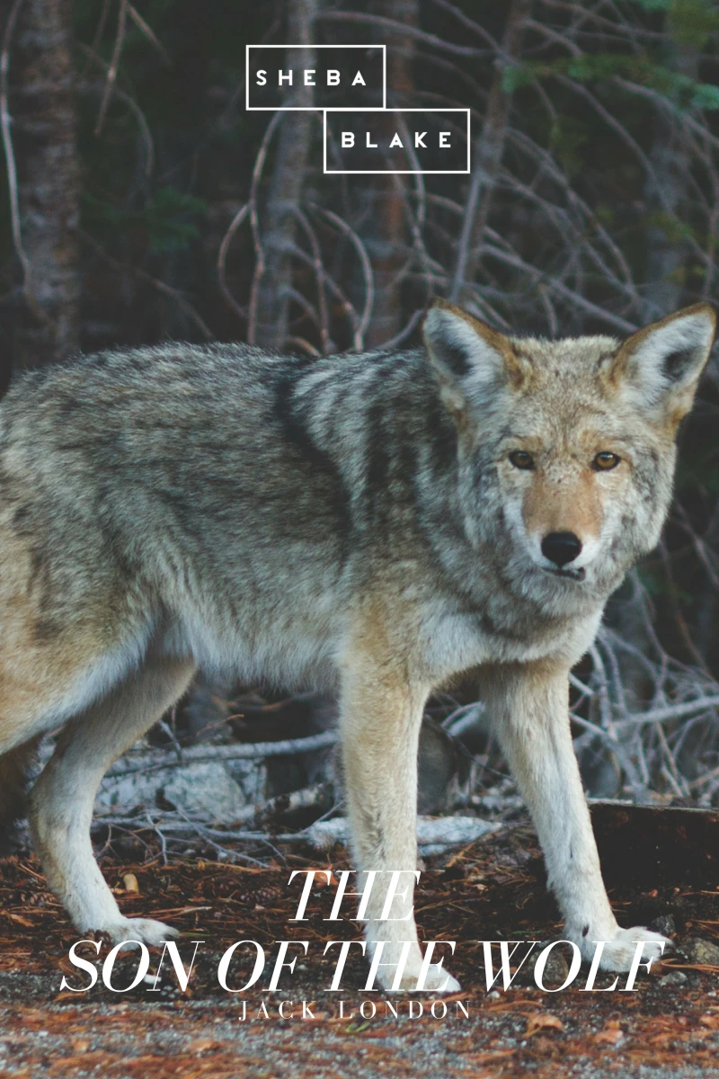 Portada: The Son of the Wolf