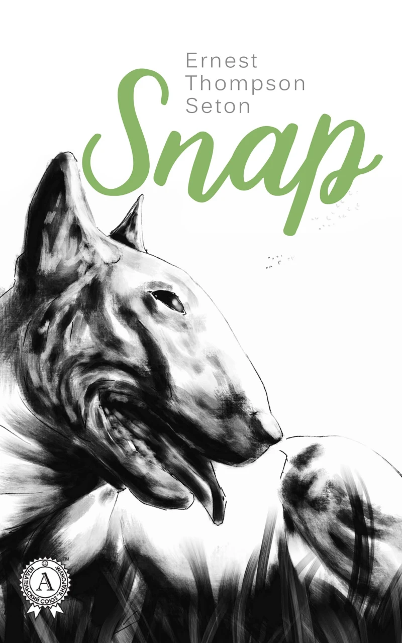 Portada: Snap