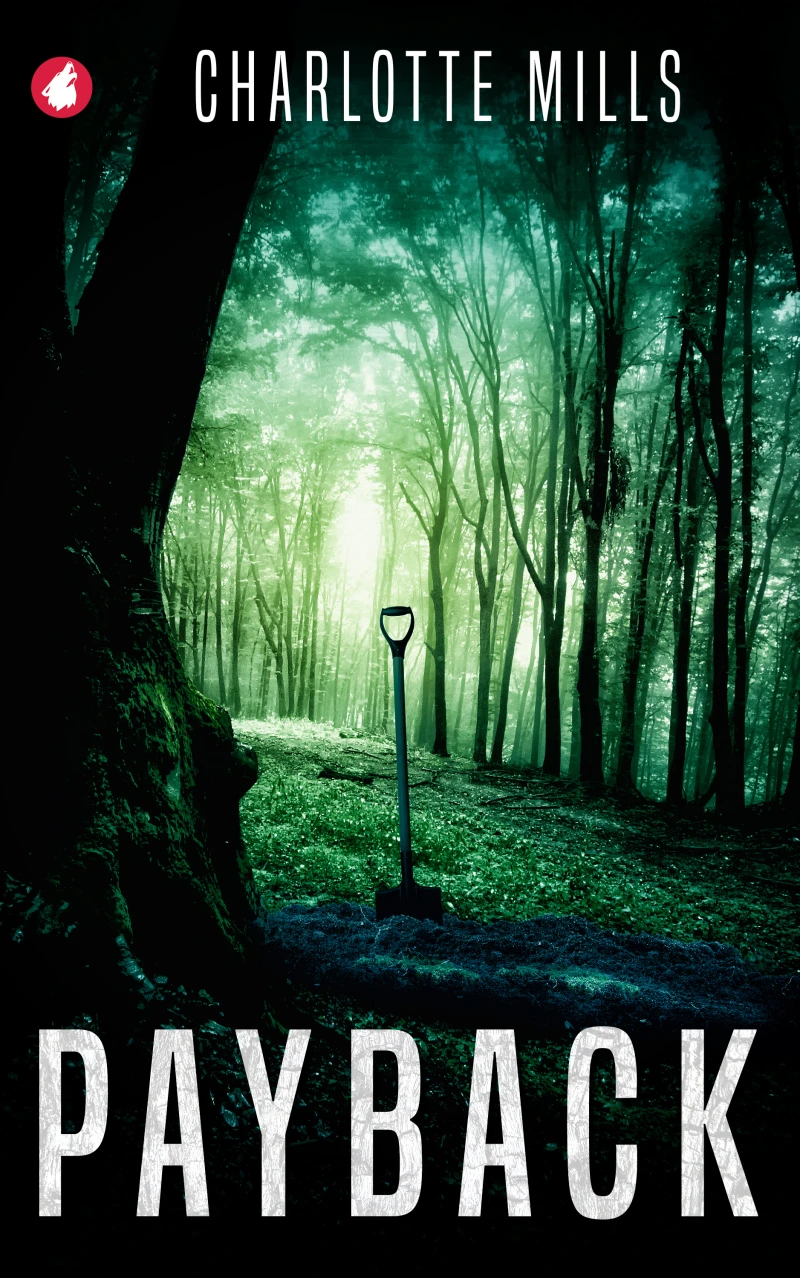 Portada: Payback