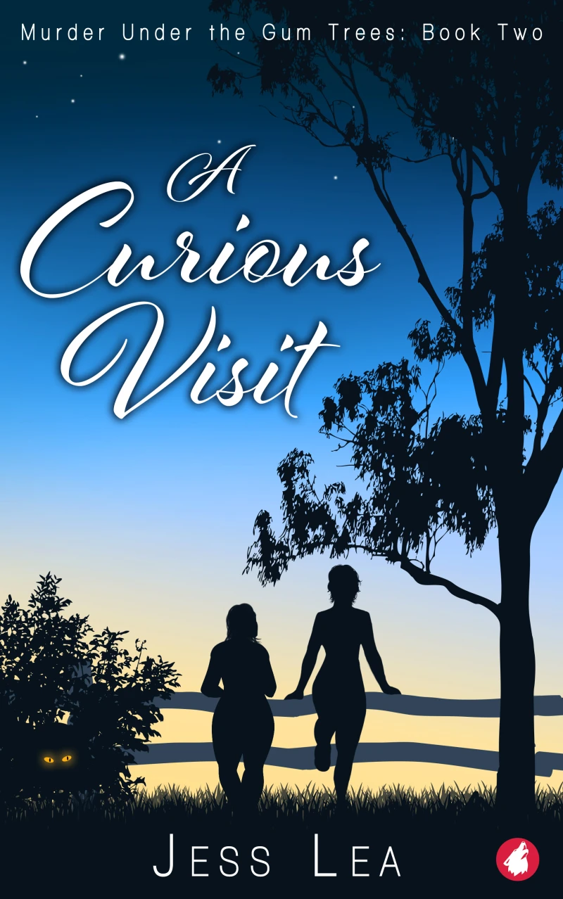 Portada: A Curious Visit