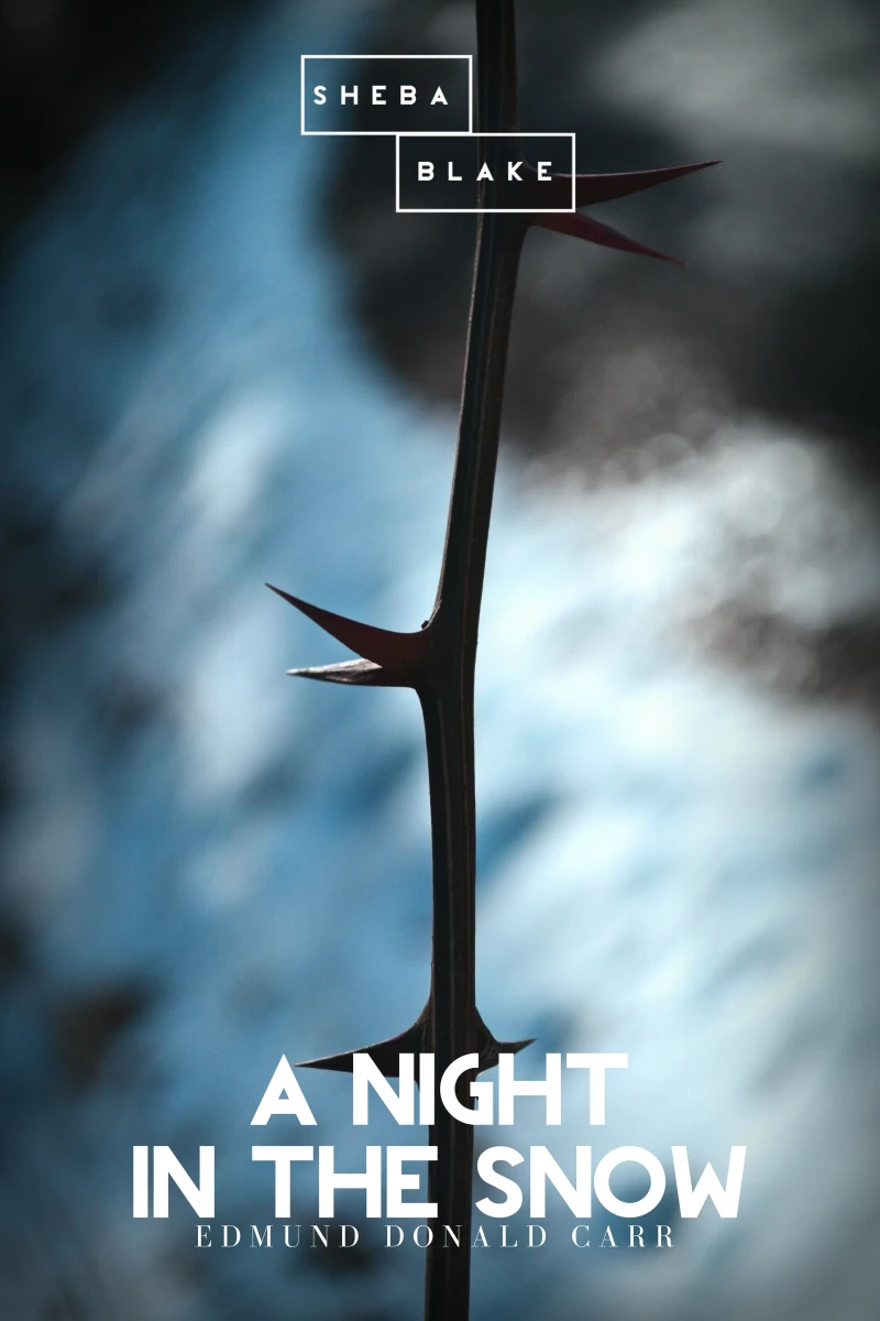 Portada: A Night in the Snow