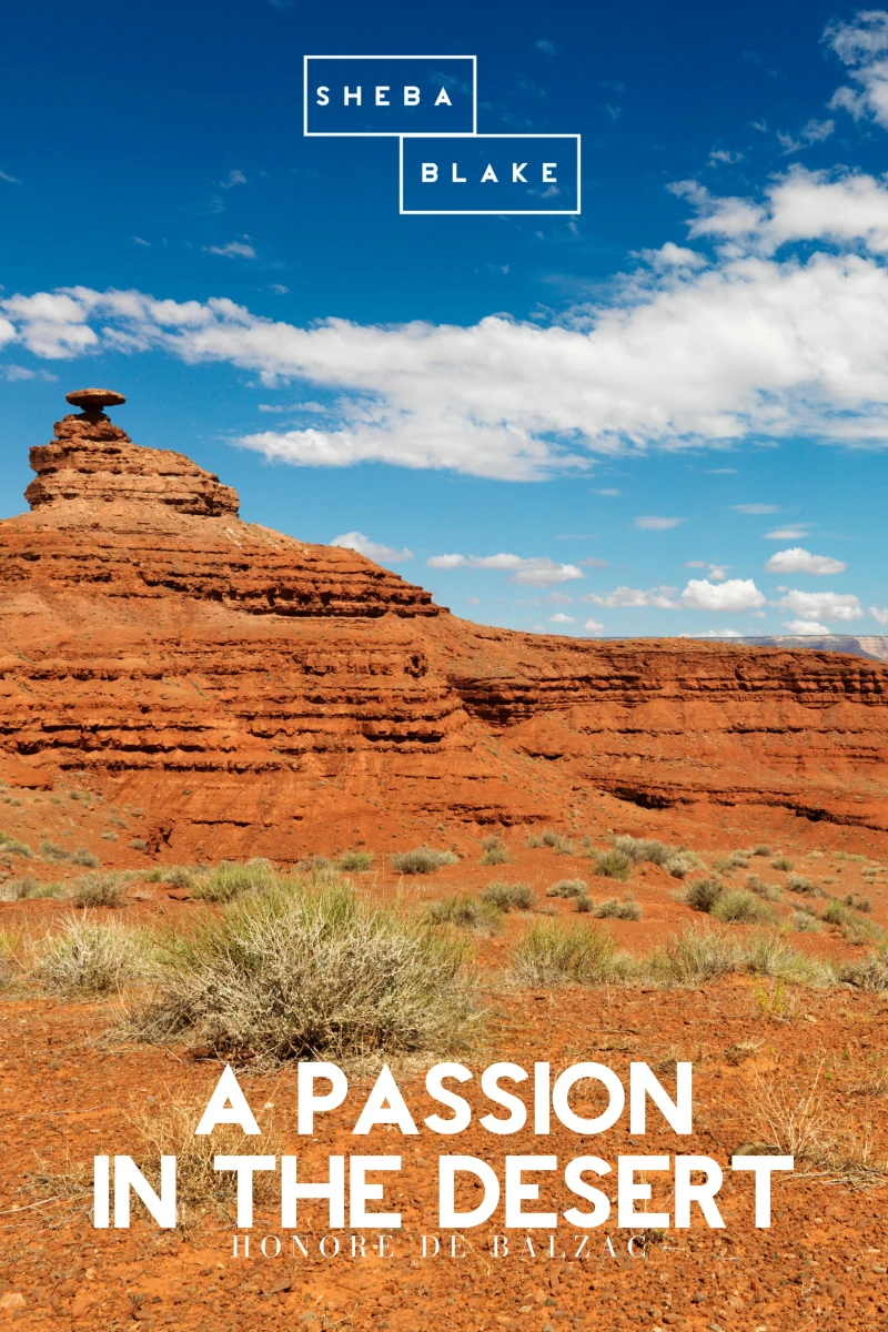 Portada: A Passion in the Desert