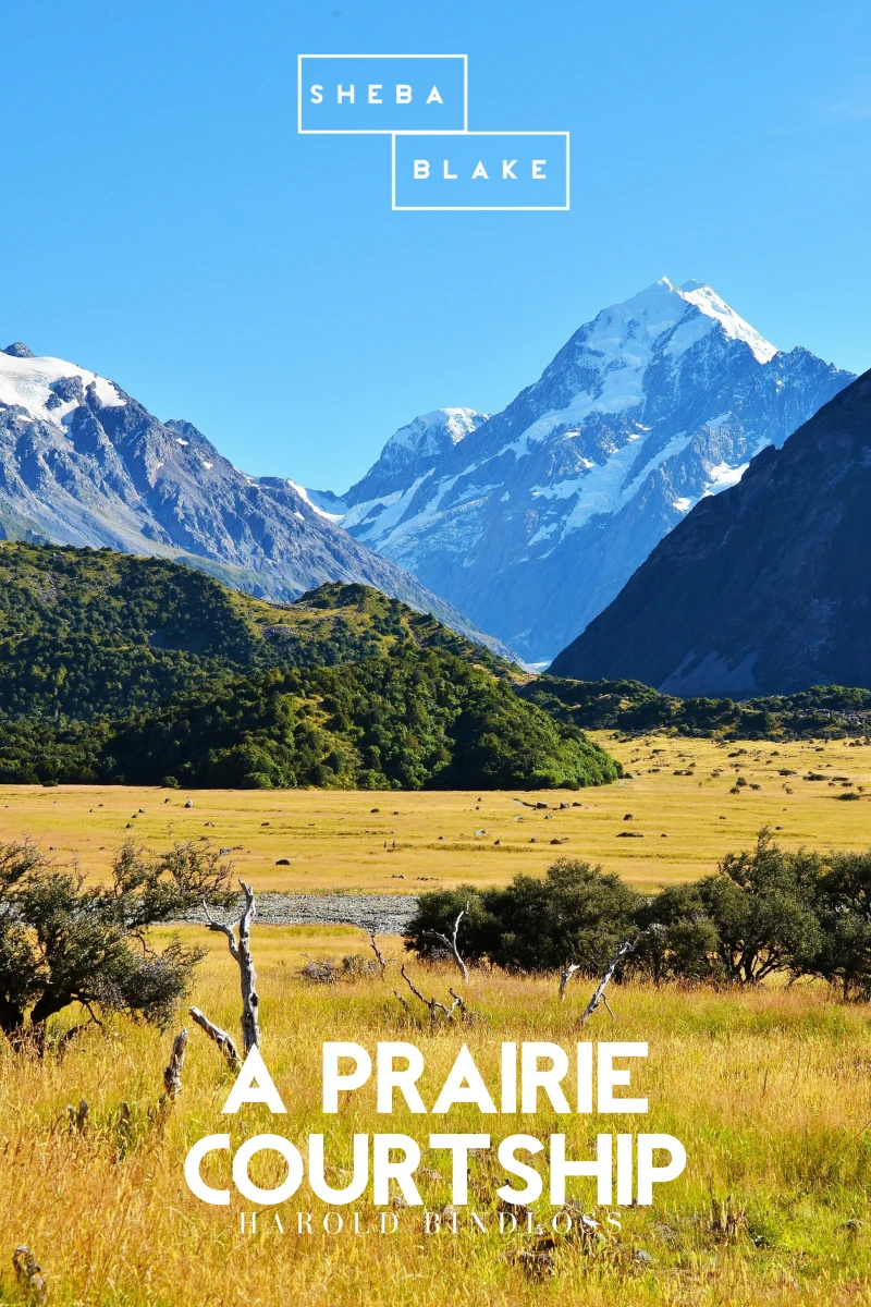 Portada: A Prairie Courtship
