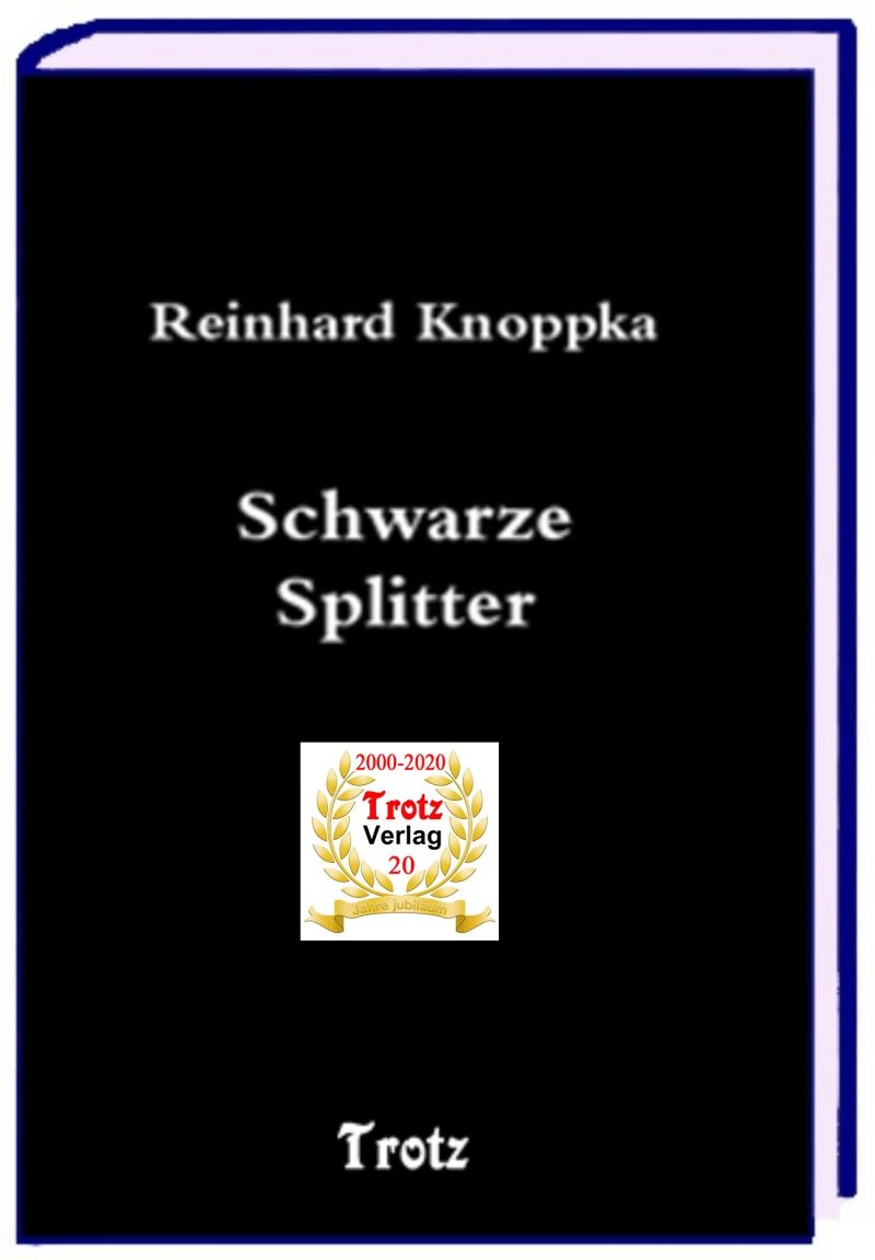 Portada: Schwarze Splitter