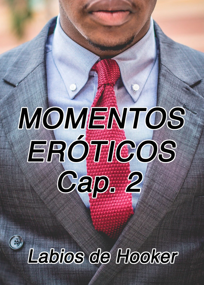 Portada: Momentos Eróticos Cap. 2
