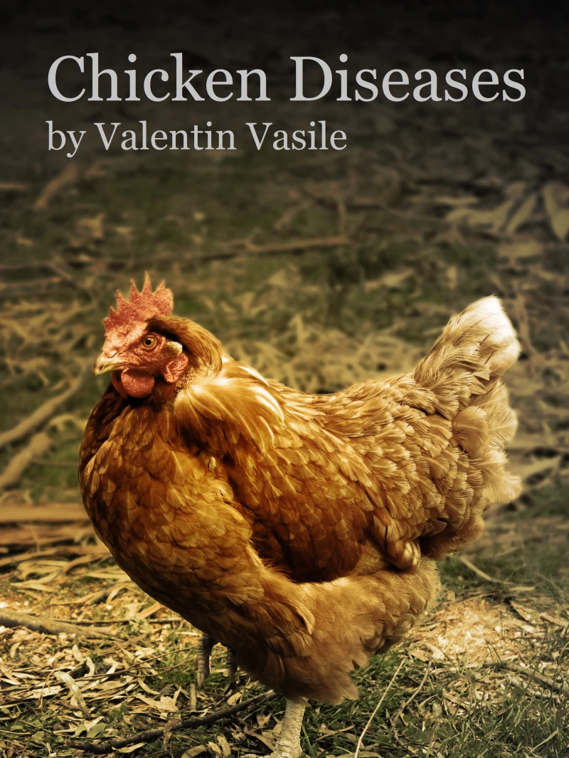 Portada: Chicken Diseases