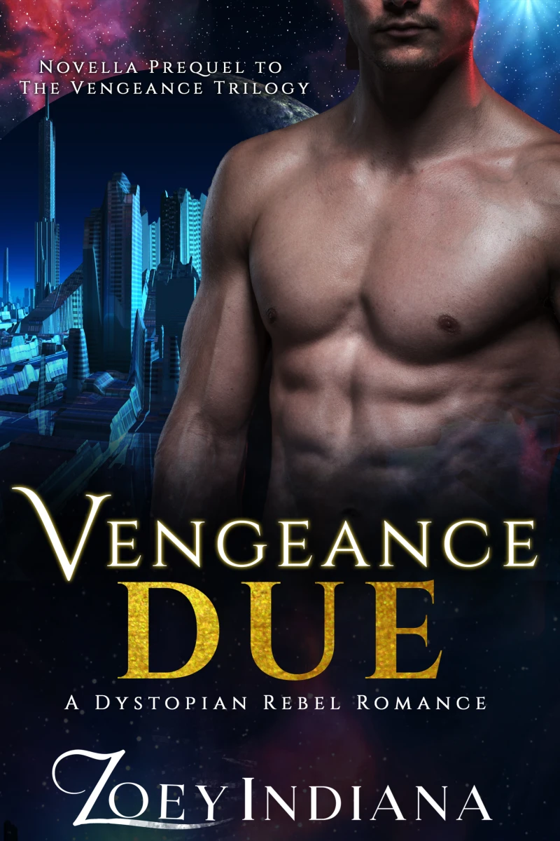 Portada: Vengeance Due - A Dystopian Rebel Romance