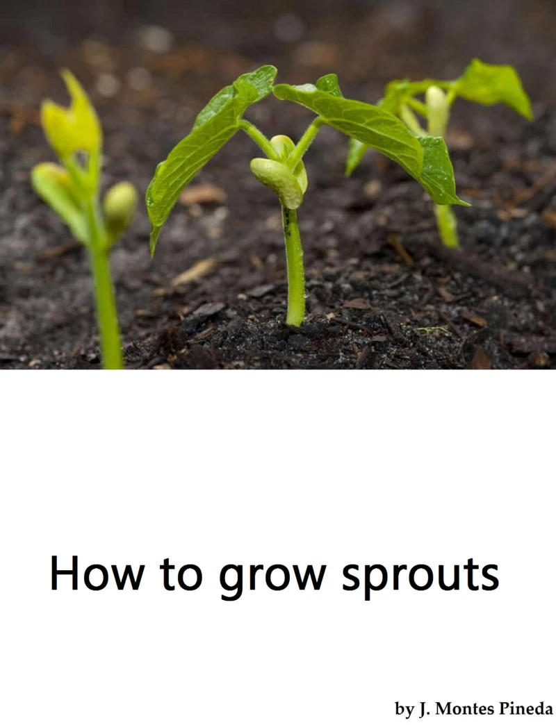 Portada: How to grow sprouts