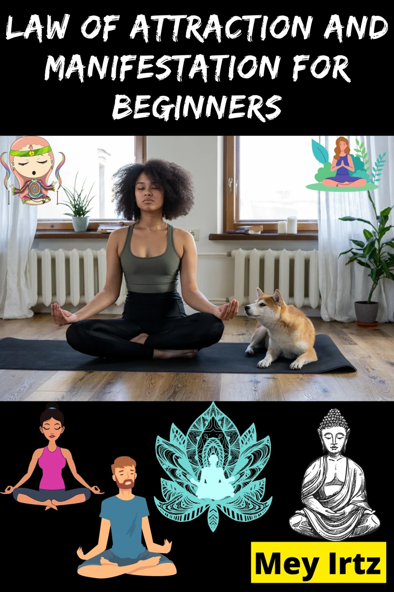 Portada: Law of Attraction and Manifestation for Beginners