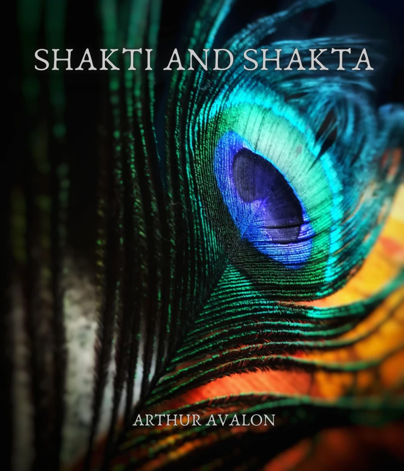 Portada: Shakti and shakta