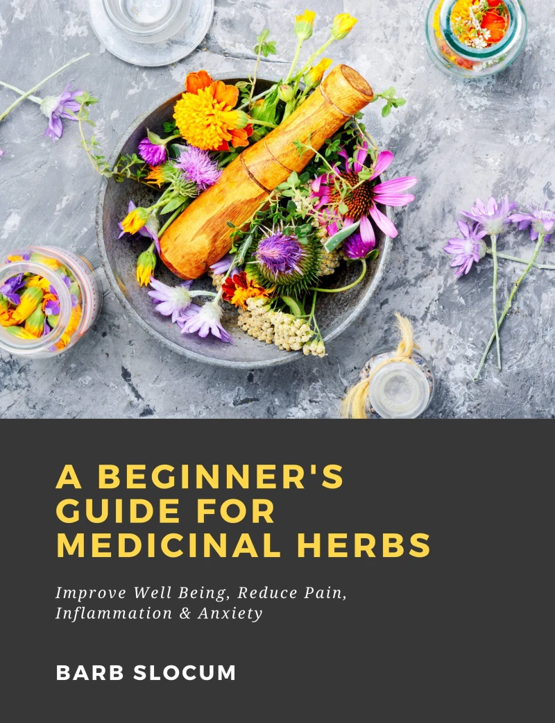 Portada: A Beginner's Guide for Medicinal Herbs: Improve Well Being, Reduce Pain, Inflammation & Anxiety